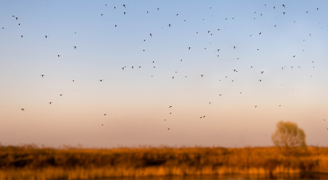 Lessons learned from the epicenter