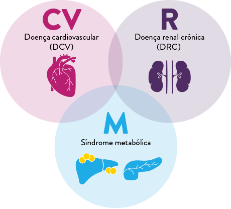 CKD infographic