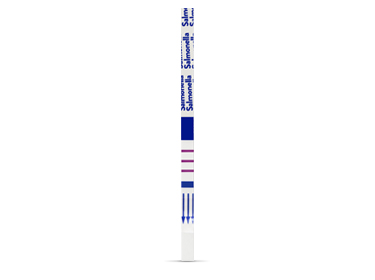 BIOLINE Salmonella typhi IgG/IgM Test