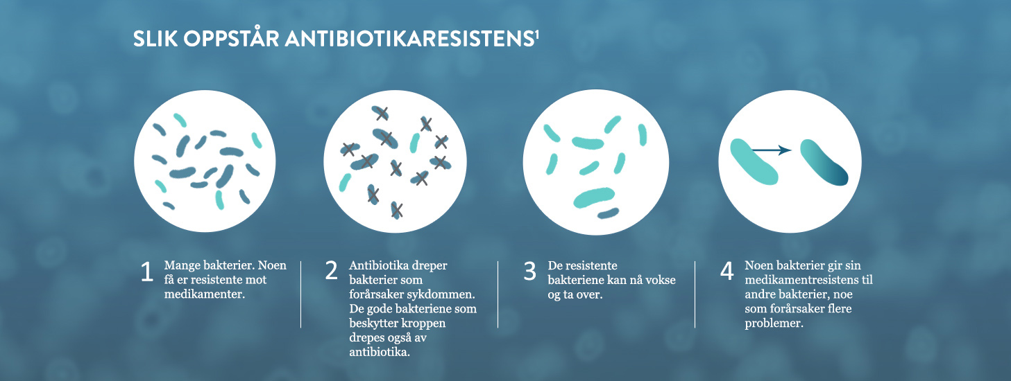 How Antibiotic Resistance Happens