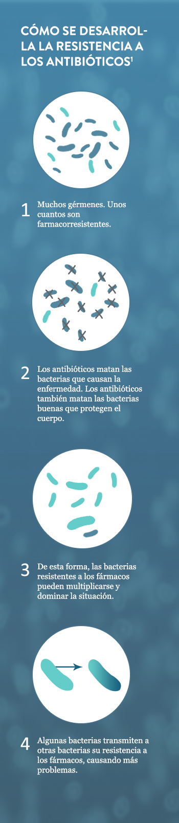 How Antibiotic Resistance Happens