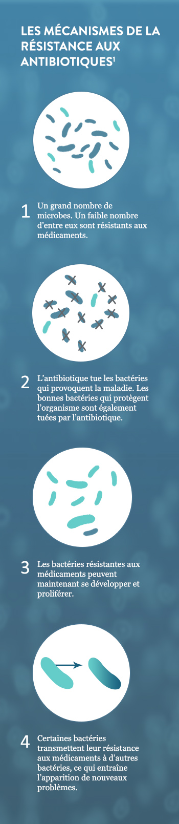 How Antibiotic Resistance Happens