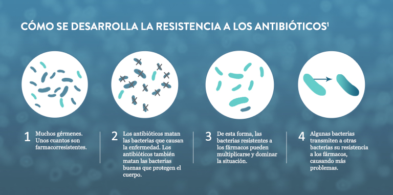 How Antibiotic Resistance Happens