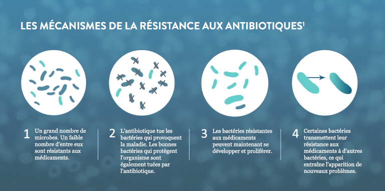 How Antibiotic Resistance Happens