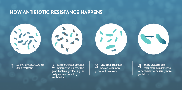 How Antibiotic Resistance Happens