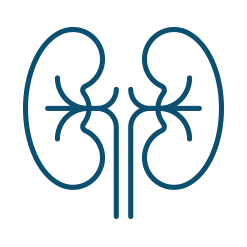 Diabetes comorbidities icon lungs