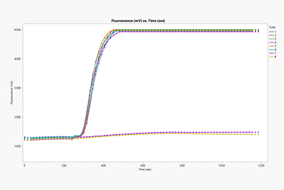 TwistAmp® exo positive control oligo mix
