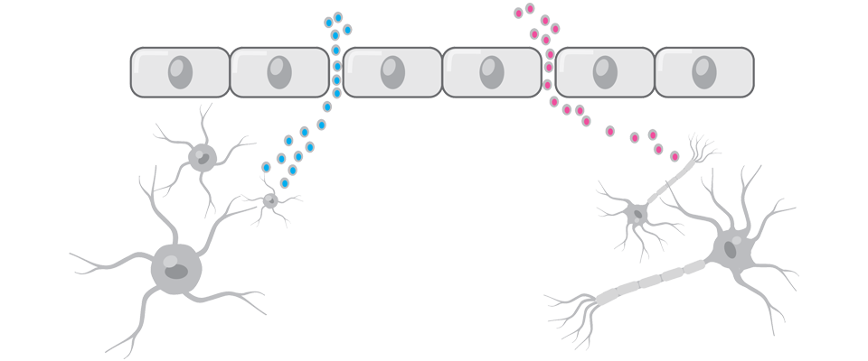 mTBI biomarkers