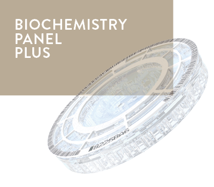 Panel