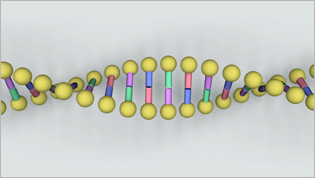 ID NOW™  Molecular