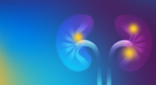 Los riñones silenciosos: pruebas rápidas de albuminuria para combatir la enfermedad renal