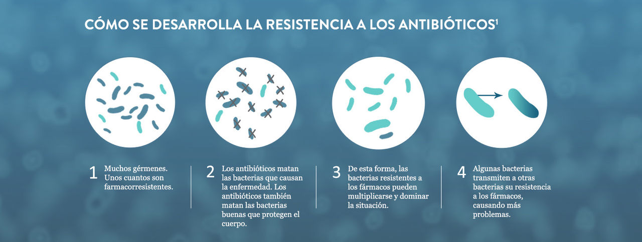 How Antibiotic Resistance Happens