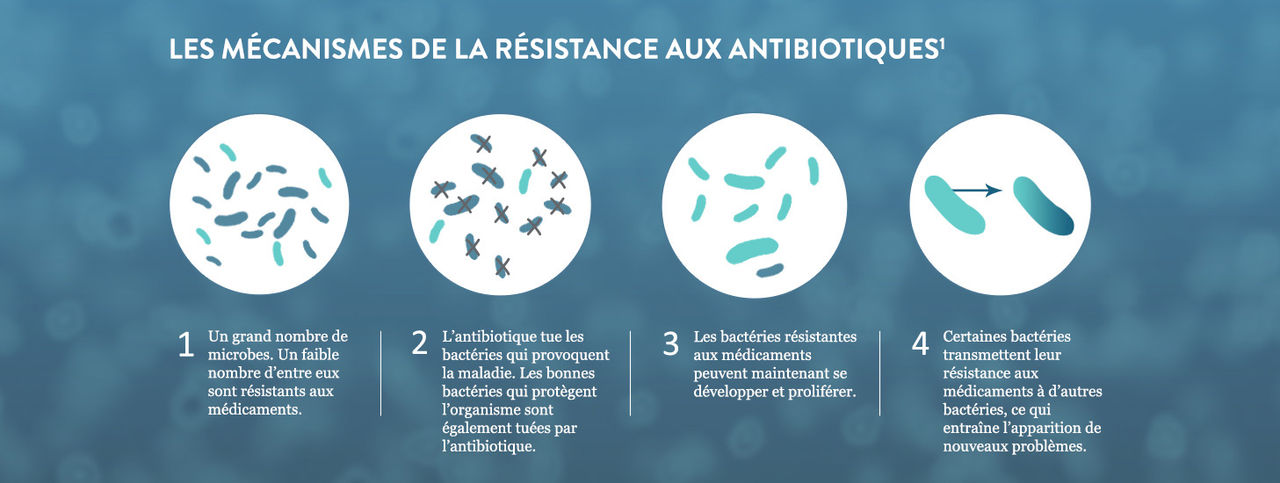 How Antibiotic Resistance Happens