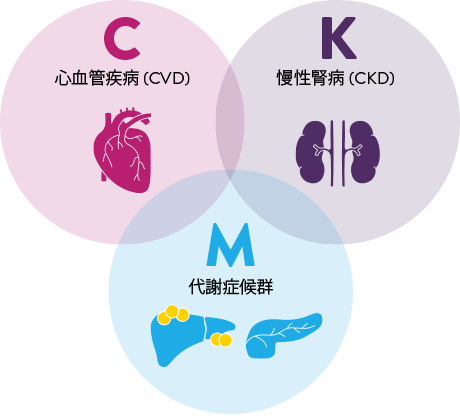 CKD infographic