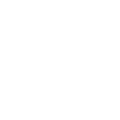 Phase 5