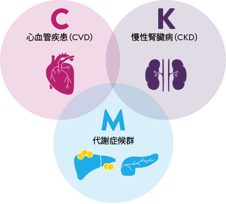 CKD infographic