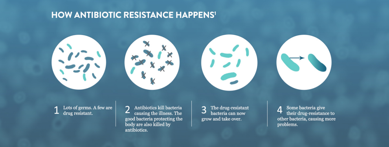 How Antibiotic Resistance Happens