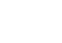 rapid-icon