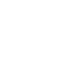 Phase 4