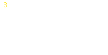 infographic 3