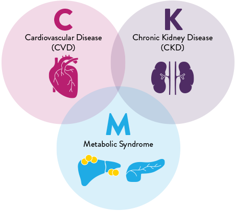 CKD infographic