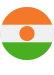 Niger flag